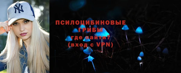 гидра Лагань