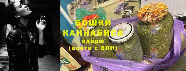 гидра Лагань